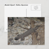 Beaded Lizard # 1 Briefkaart (Voorkant / Achterkant)