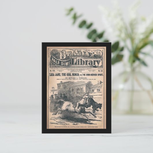 Beadles Half Dime Library No. 1120 1901 Briefkaart (Staand voorkant)