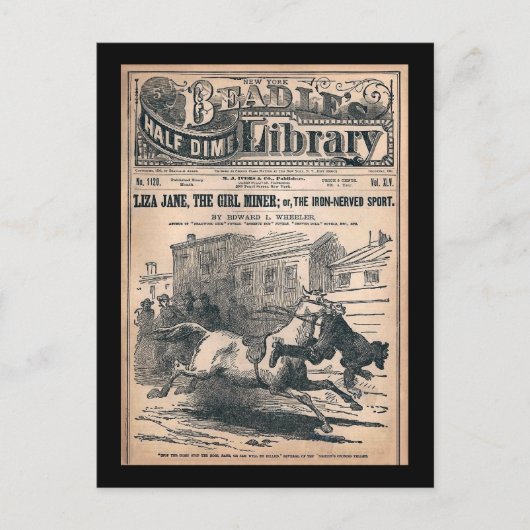 Beadles Half Dime Library No. 1120 1901 Briefkaart (Voorkant)