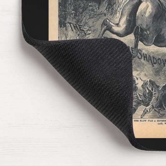 Beadles Half Dime Library Vol XXII No 560 1888 Muismat (Hoek)