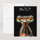 Beady-Eyed Damselfly Briefkaart (Voorkant / Achterkant)