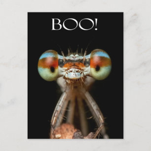 Beady-Eyed Damselfly Briefkaart