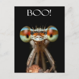 Beady-Eyed Damselfly Briefkaart