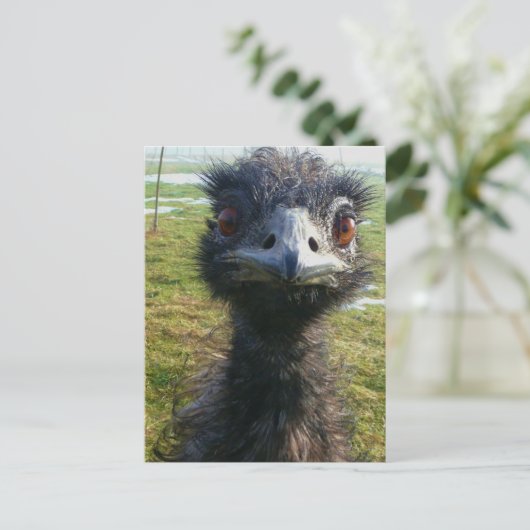 Beady Eyes EMU Briefkaart (Staand voorkant)