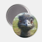 Beady Eyes EMU Magneet (Voorkant / Achterkant)