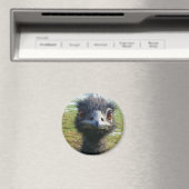 Beady Eyes EMU Magneet (Insitu (Vaatwasser))