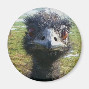 Beady Eyes EMU Magneet