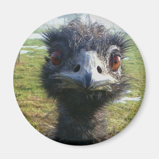 Beady Eyes EMU Magneet (Voorkant)