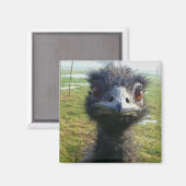Beady Eyes EMU Magneet (Voorkant / Achterkant)