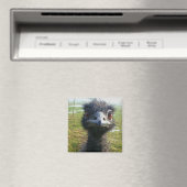 Beady Eyes EMU Magneet (Insitu (Vaatwasser))