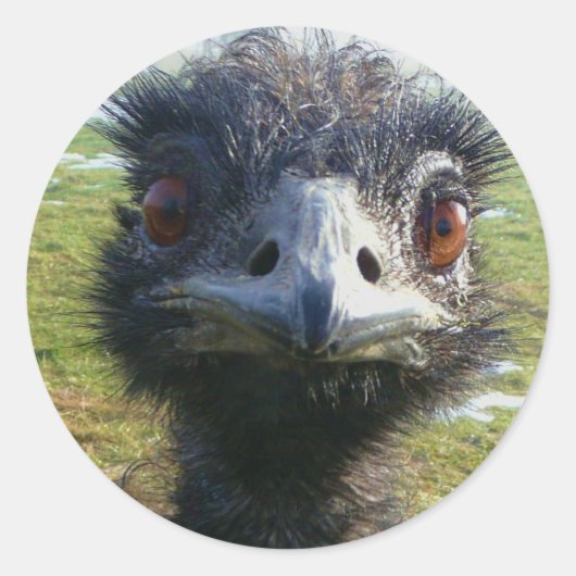 Beady Eyes EMU Ronde Sticker (Voorkant)