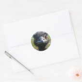 Beady Eyes EMU Ronde Sticker (Envelop)