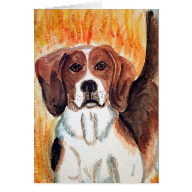 Beagle (Voorkant)