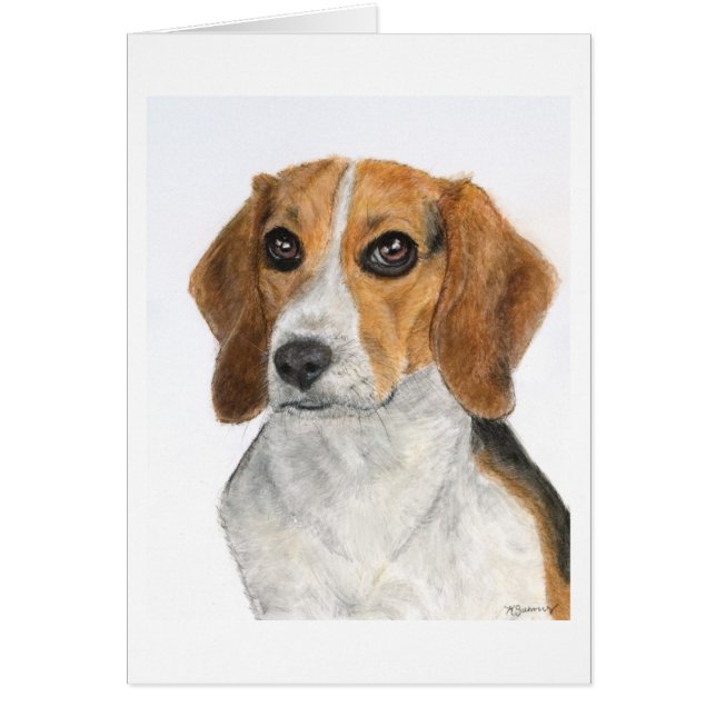 Beagle (Voorkant)