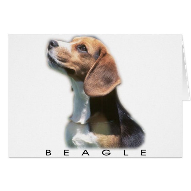 Beagle (Voorkant Horizontaal)