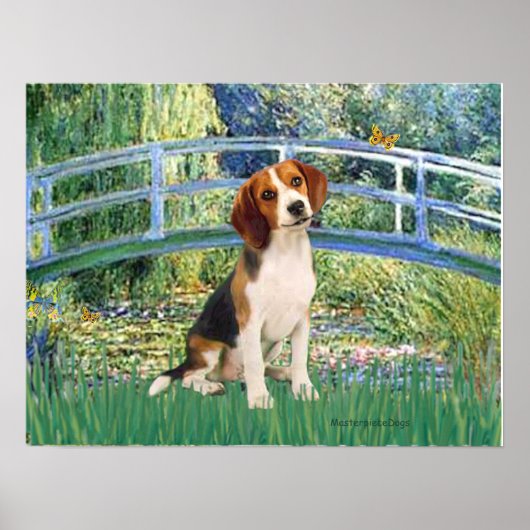 Beagle1 - Lily Pond Brug Poster (Voorkant)