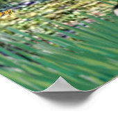 Beagle1 - Lily Pond Brug Poster (Hoek)