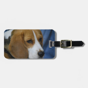 beagle-31.jpg bagagelabel
