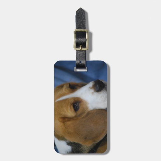beagle-31.jpg bagagelabel (Voorkant verticaal)