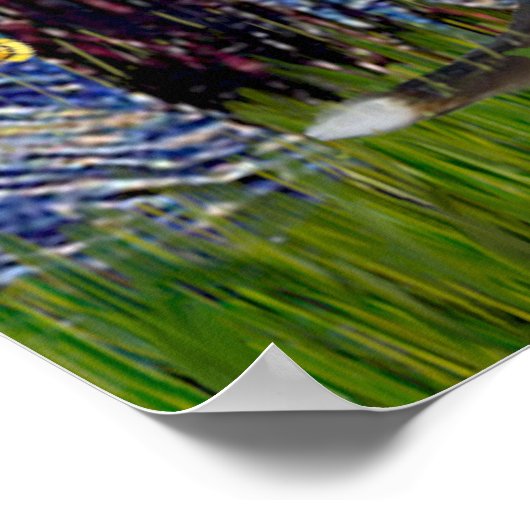 Beagle 7 - Sterrennacht Poster (Hoek)