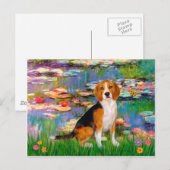 Beagle 7 - Waterlelies 2 Briefkaart (Voorkant / Achterkant)