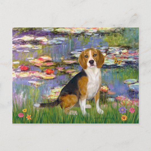 Beagle 7 - Waterlelies 2 Briefkaart (Voorkant)