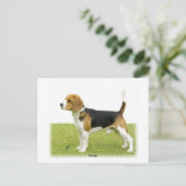 Beagle 9J27D-02 Briefkaart (Staand voorkant)