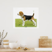 Beagle 9J27D-02 Poster (Keuken)