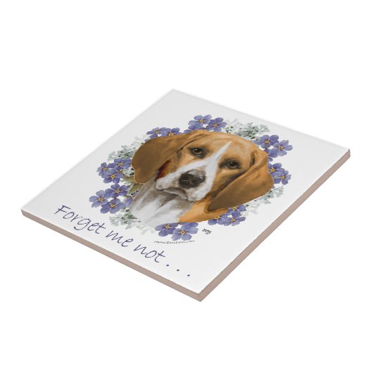 Beagle Aandenken Tegeltje (Zijkant)