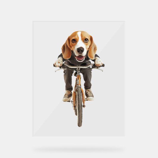 Beagle Acryl Bord (Voorkant)