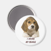 Beagle Adore Magnet (Voorkant / Achterkant)