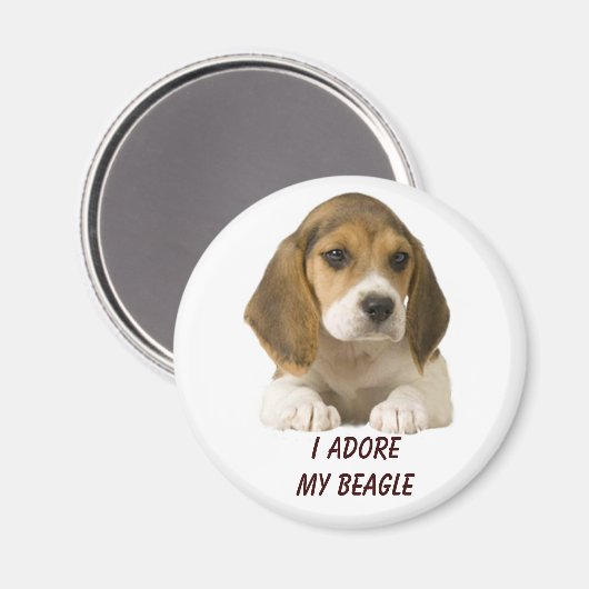 Beagle Adore Magnet (Voorkant / Achterkant)