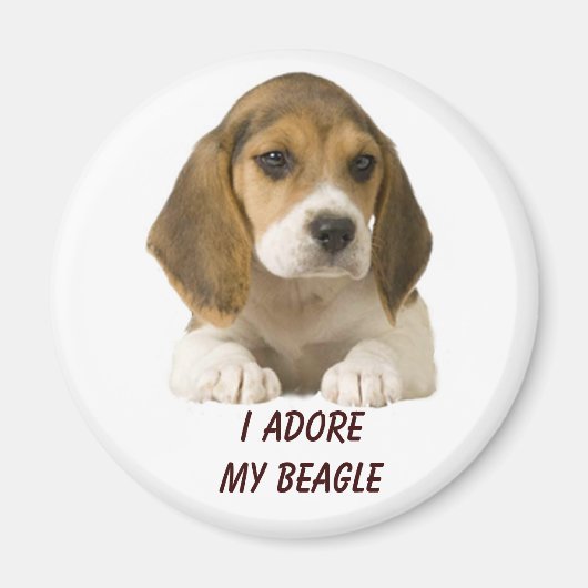 Beagle Adore Magnet (Voorkant)