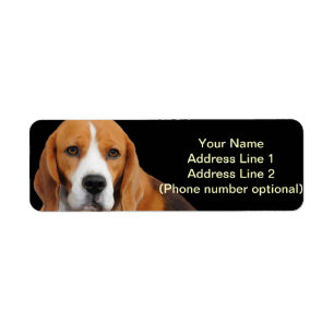 Beagle Adres Sticker