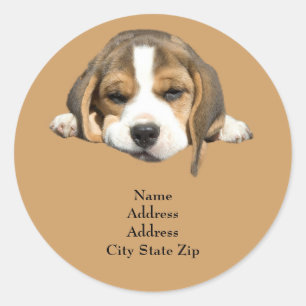 Beagle-adreslabel Ronde Sticker