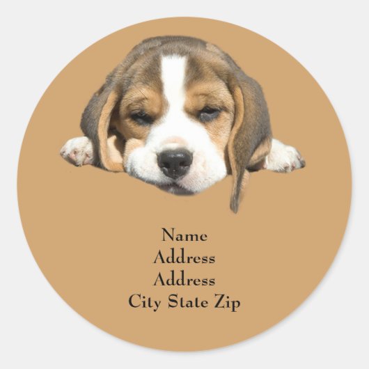 Beagle-adreslabel Ronde Sticker (Voorkant)