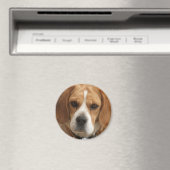 Beagle Afbeeldingen ronde magneet (Insitu (Vaatwasser))