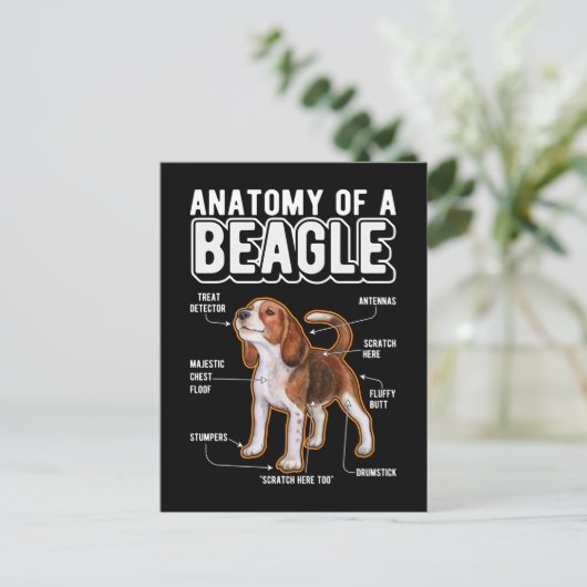 Beagle Anatomy Funny Dog Briefkaart (Staand voorkant)