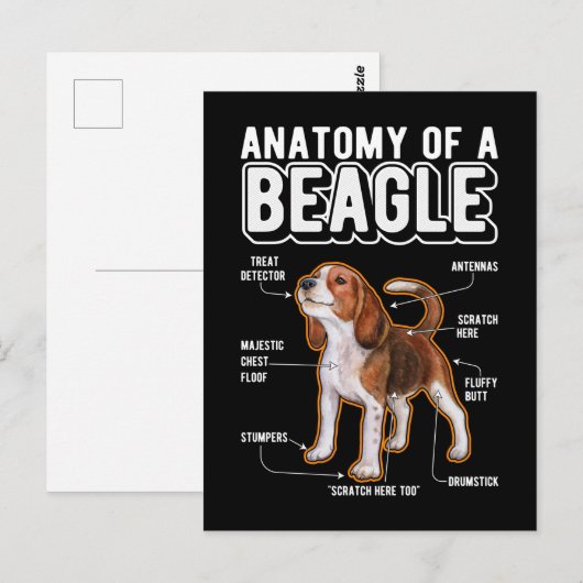 Beagle Anatomy Funny Dog Briefkaart (Voorkant / Achterkant)