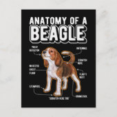Beagle Anatomy Funny Dog Briefkaart (Voorkant)