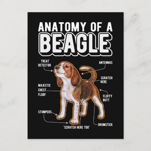 Beagle Anatomy Funny Dog Briefkaart (Voorkant)