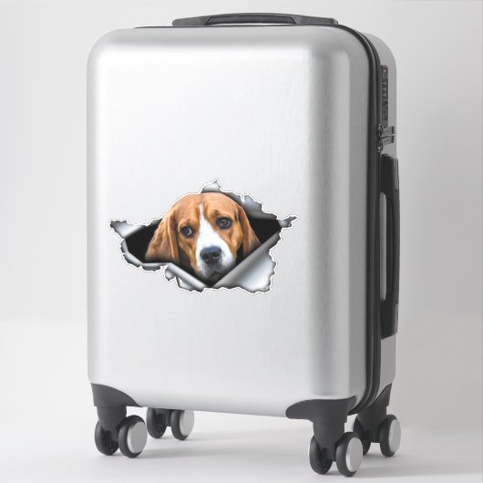 Beagle auto decal, Beagle magnet, Beagle sticker (Koffer)