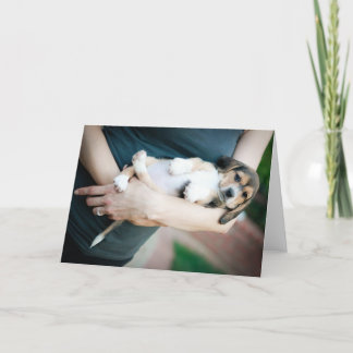 Beagle Babe in de armen Kaart