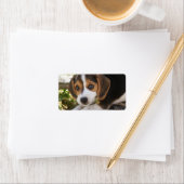 Beagle Baby Dog Etiket (Insitu)