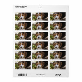 Beagle Baby Dog Etiket (Full Sheet)
