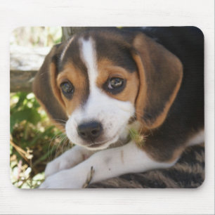 Beagle Baby Dog Muismat