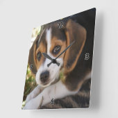 Beagle Baby Dog Vierkante Klok (Hoek)