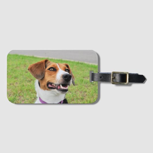 Beagle Bagagelabel (Voorkant (horizontaal))