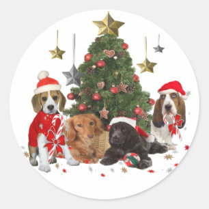 Beagle, Basset, Cocker Kerstmis Ronde Sticker