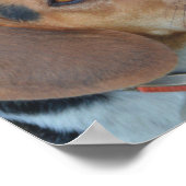 Beagle Best Friends Poster (Hoek)